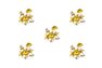 Набор Розеток 11 см 6 штук Катарина. Рисунок Золотая Роза 1007