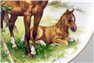 Фарфоровая тарелка Настенная 24 см Лошадь с Жеребенком